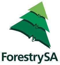 Chief Executive – ForestrySA